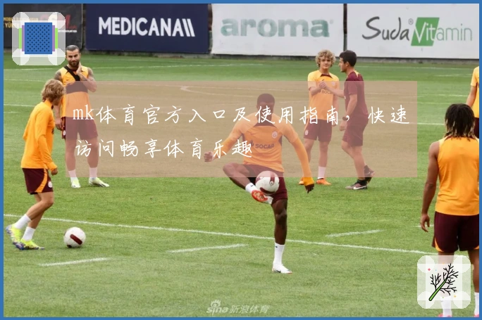 mk体育官方入口及使用指南，快速访问畅享体育乐趣