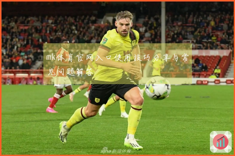 mk体育官网入口使用技巧分享与常见问题解答