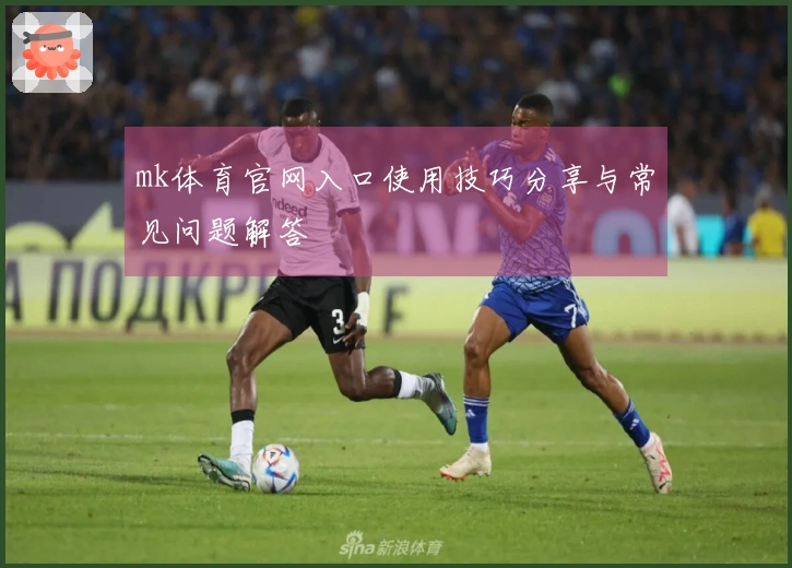 mk体育官网入口使用技巧分享与常见问题解答